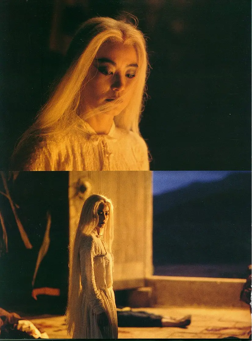 白发魔女传 白髮魔女傳 (1993)