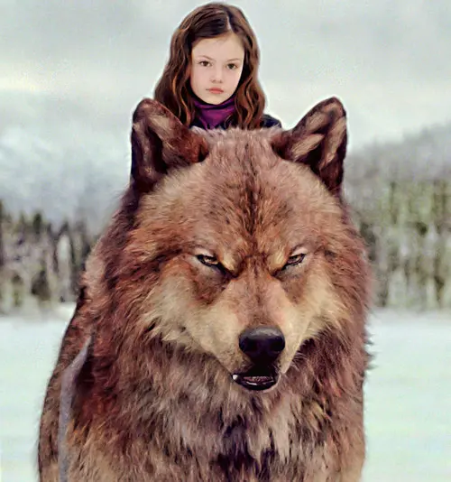 暮光之城4：破晓(下) The Twilight Saga: Breaking Dawn - Part 2 (2012)