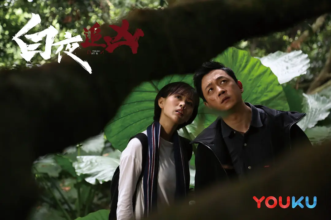 白夜追凶 (2017)