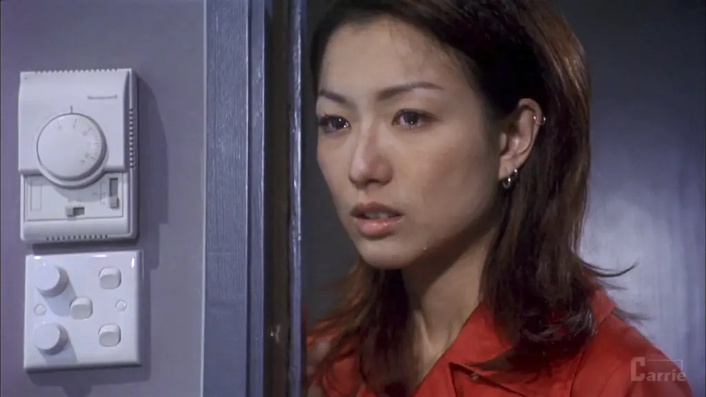 瘦身男女 (2001)
