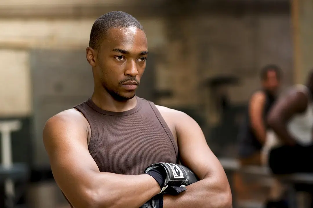 百万美元宝贝 Million Dollar Baby (2004)