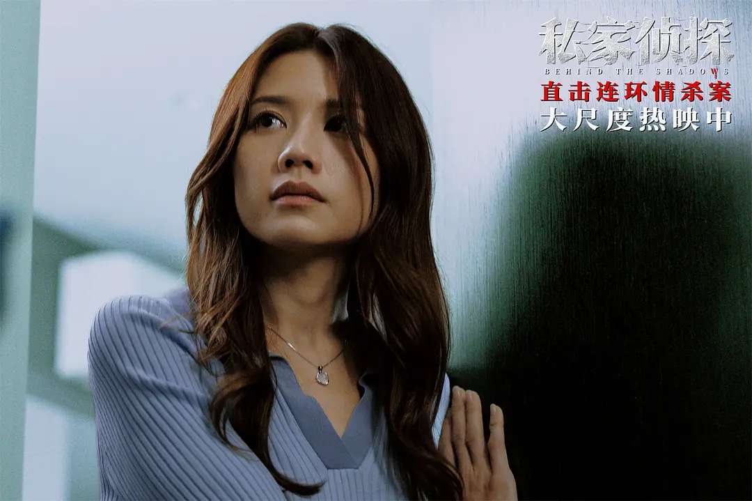 私家侦探 私家偵探 (2025)