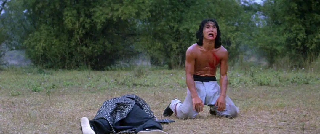 龙腾虎跃 龍騰虎躍 (1983)