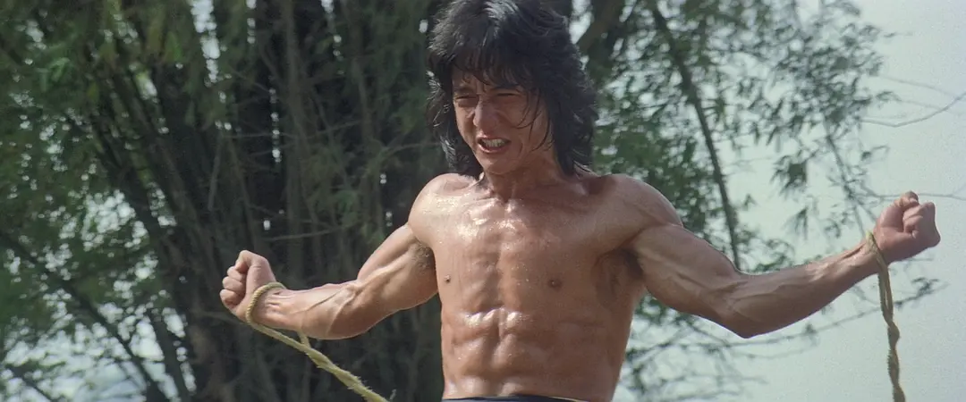 笑拳怪招 (1979)