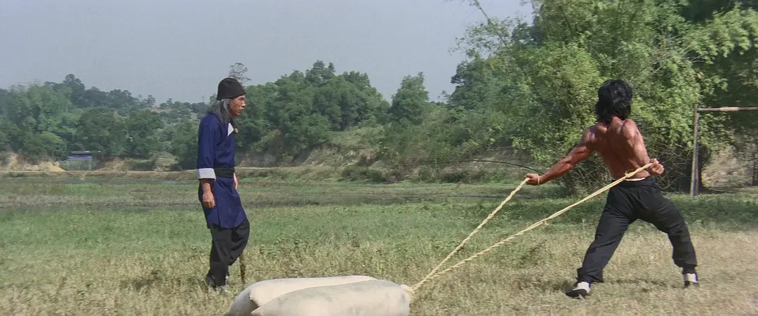 笑拳怪招 (1979)