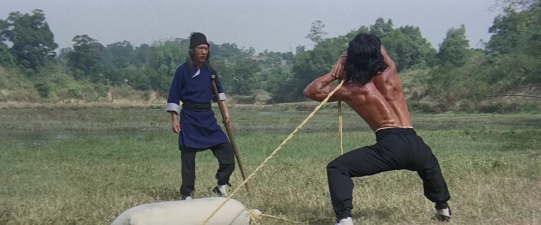 笑拳怪招 (1979)