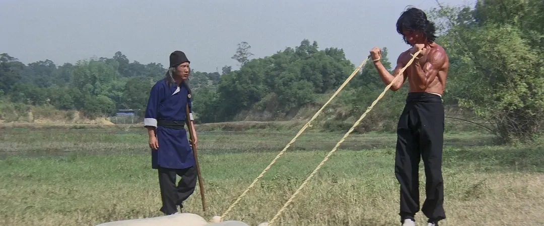 笑拳怪招 (1979)