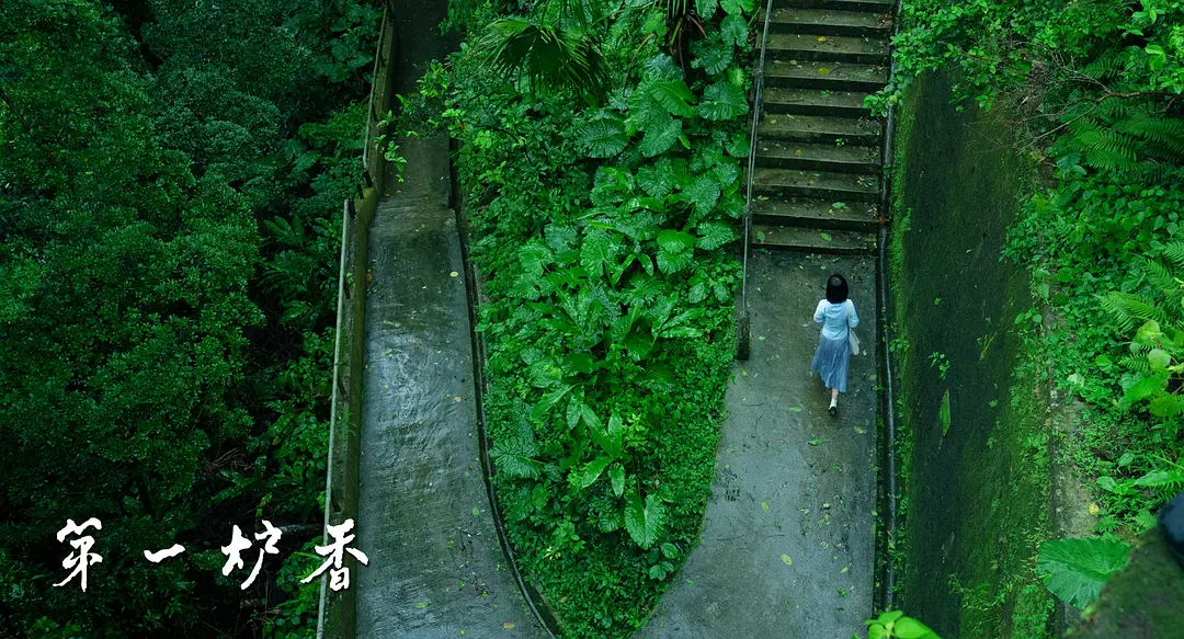 第一炉香 (2020)