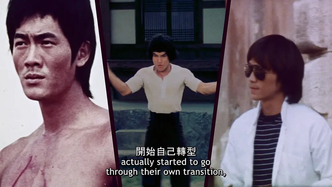 虚龙争假虎斗 Enter the Clones of Bruce (2023)