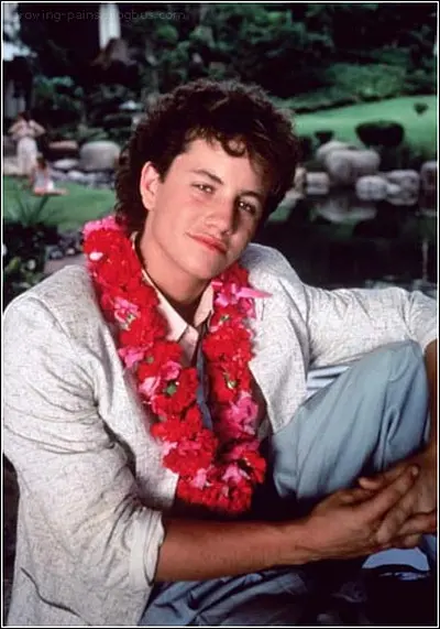 成长的烦恼 第三季 Growing Pains Season 3 (1987)