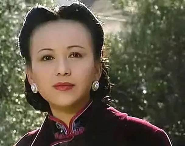 上海沧桑 (1999)