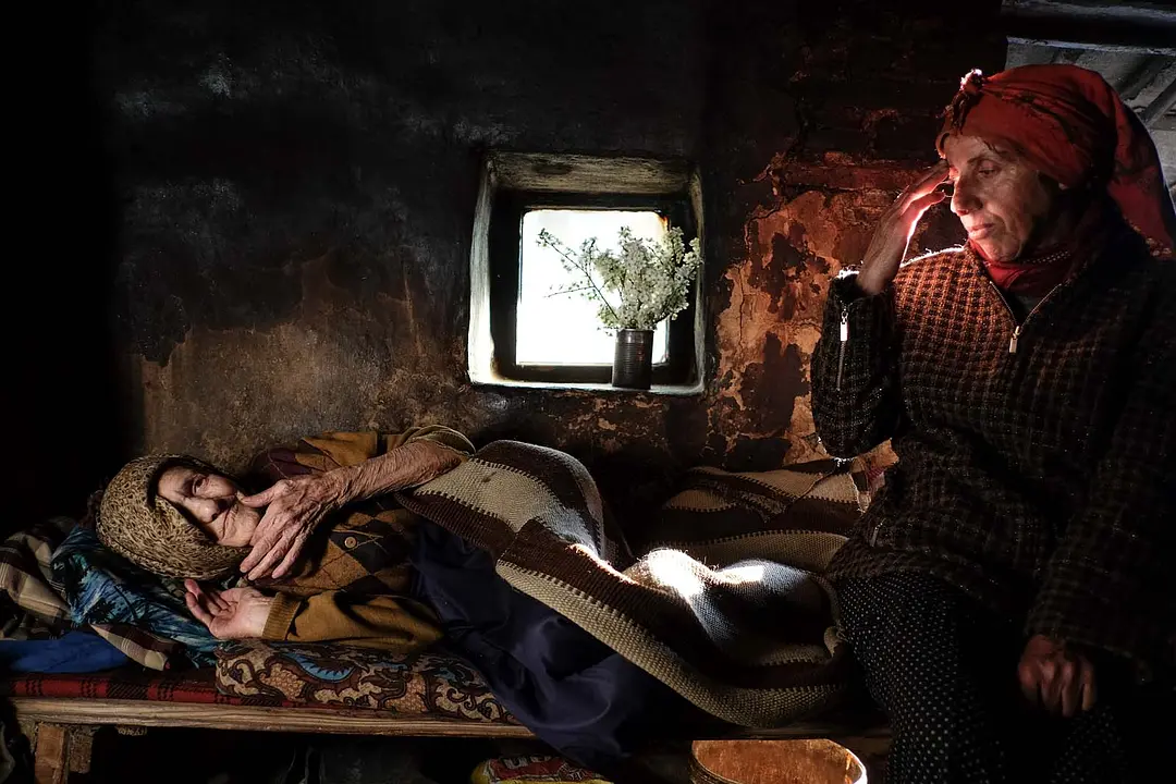 蜂蜜之地 Медена земја (2019)