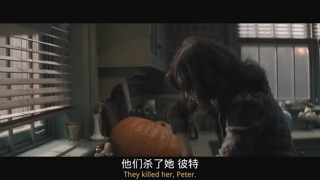 蛛网男孩 Cobweb (2023)
