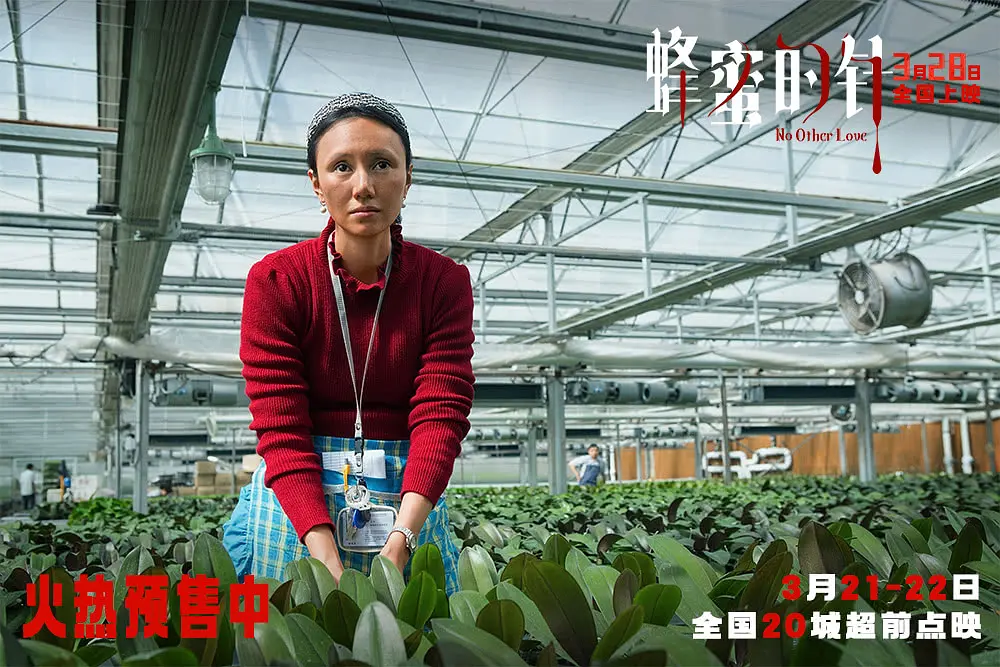 蜂蜜的针 (2026)