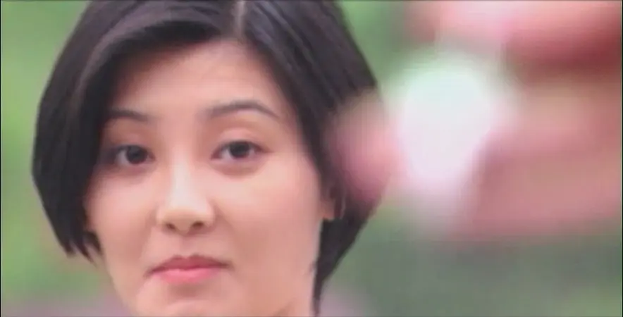 一地鸡毛 (1995)