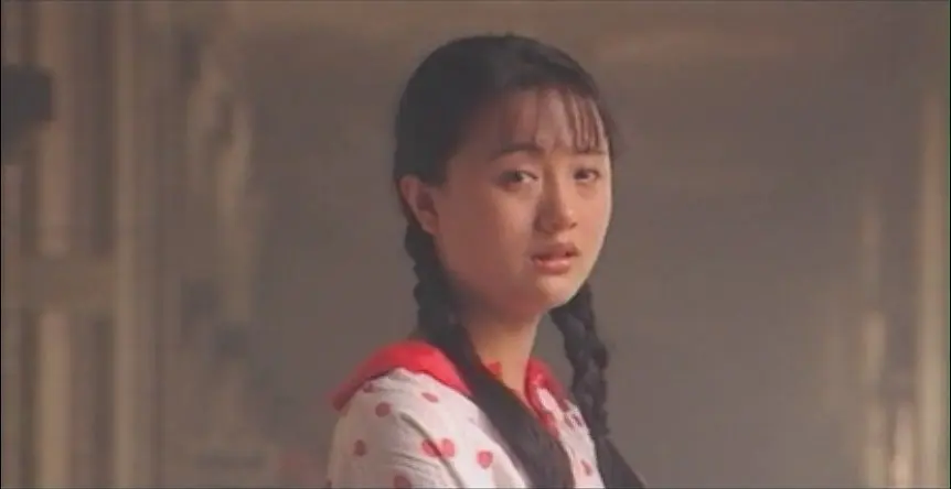 一地鸡毛 (1995)