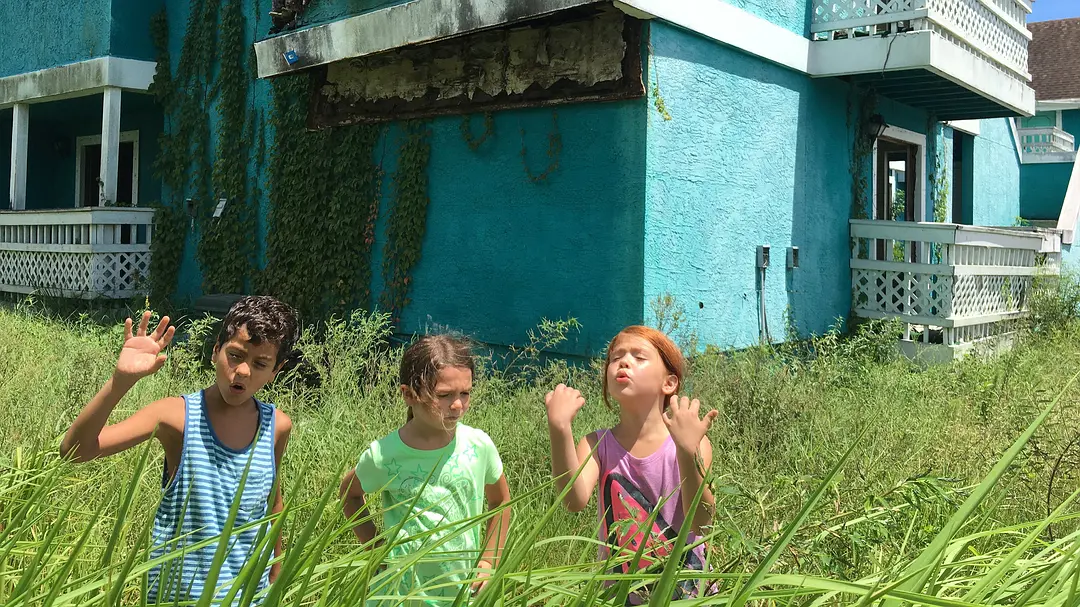 佛罗里达乐园 The Florida Project (2017)
