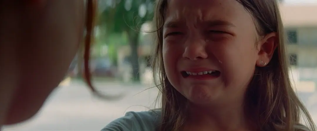 佛罗里达乐园 The Florida Project (2017)