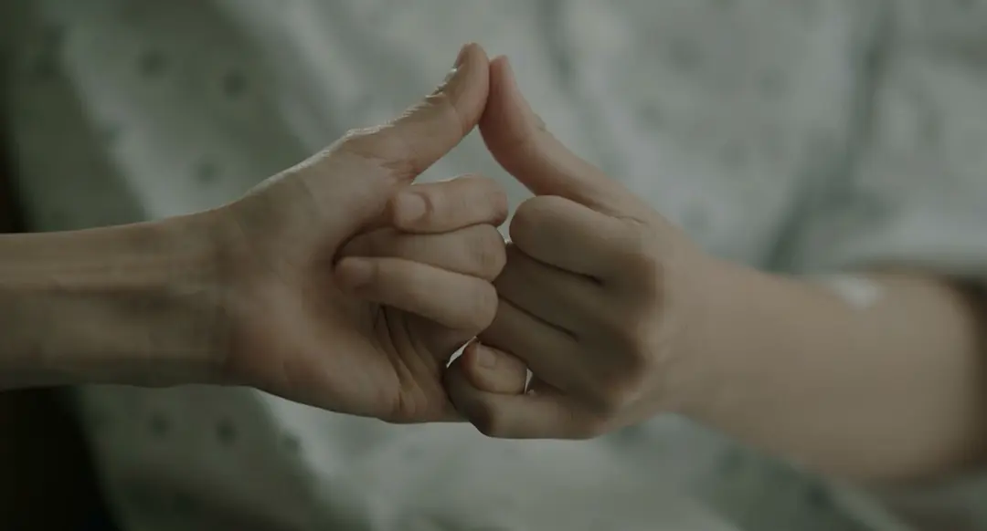 蜂鸟 벌새 (2018)